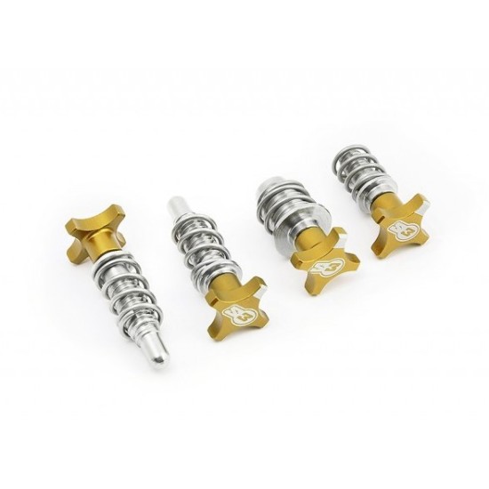 Kit Registri Leve S3 (AJP-BRAKTEC) Oro