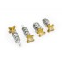 Kit Registri Leve S3 (AJP-BRAKTEC) Oro