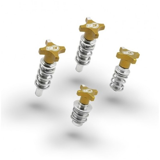 Kit Registri Leve S3 (AJP-BRAKTEC) Oro