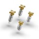 Kit Registri Leve S3 (AJP-BRAKTEC) Oro