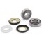 Kit Cuscinetti Sterzo S3 per Beta Evo + Rev / Gas Gas TXT all / Sherco Trial 02 dal 2010