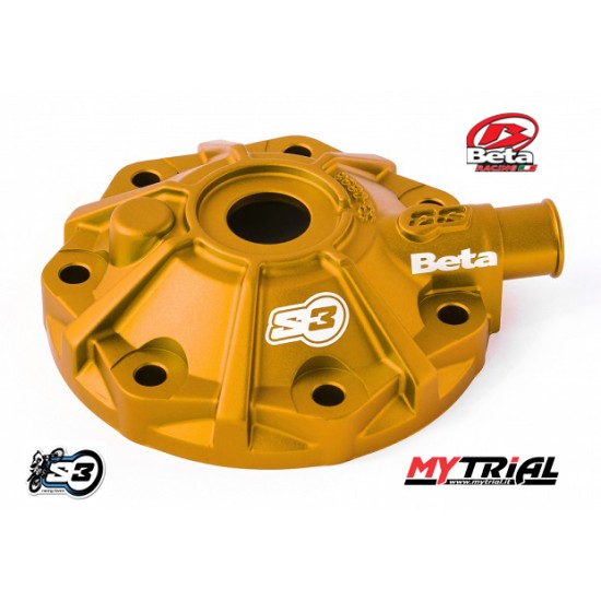 Coperchio Testa BETA EVO 300/250 (ORO)