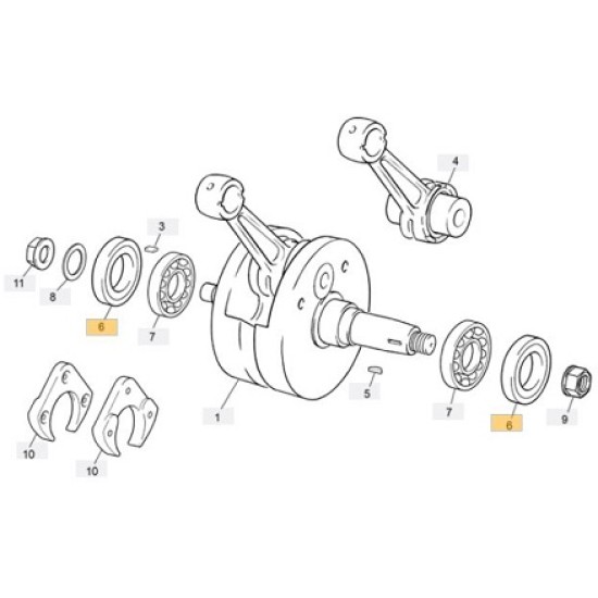 Paraolio Albero Motore SHERCO '99-19, SCORPA 11-22