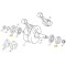 Paraolio Albero Motore SHERCO '99-19, SCORPA 11-22