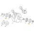 Paraolio Albero Motore SHERCO '99-19, SCORPA 11-22