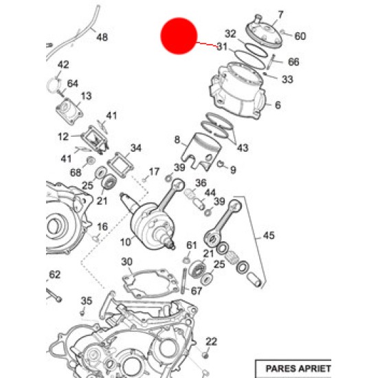 Oring Testa Esterno SHERCO 1999-2018