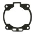 Guarnizione Base Cilindro 0.5 SHERCO  