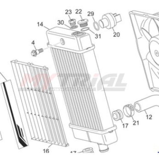 Guarnizione Tappo Radiatore SHERCO 2011-22, SCORPA 2015-2022