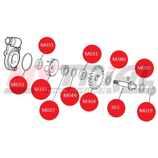 Kit Pompa Acqua SHERCO 02-10