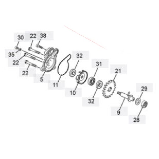 Oring Pompa Acqua SHERCO 2011-2022, SCORPA 2015-2022