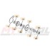 Kit Pompa Acqua SHERCO 17-22, SCORPA 17-22