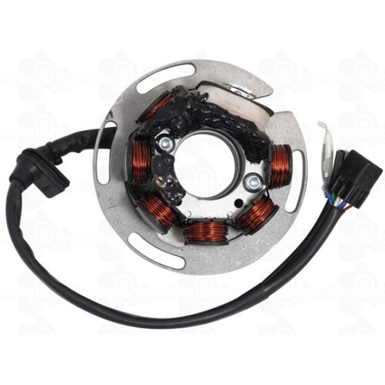 Statore SHERCO/SCORPA 2020/22