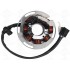 Statore SHERCO/SCORPA 2020/22