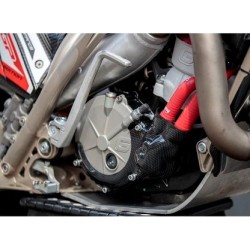 Protezione Coperchio Frizione e Pompa Acqua GAS GAS 2019-2022 (Bassa) Protezione Coperchio Frizione e Pompa Acqua GAS GAS 2019-2022 (Bassa)