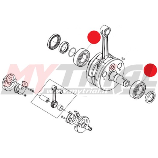 Cuscinetto Albero Motore TRS 125cc