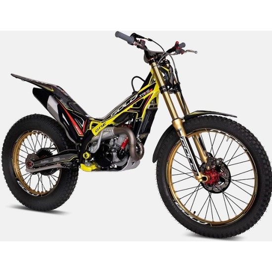Adesivi Telaio TRS GOLD 2019