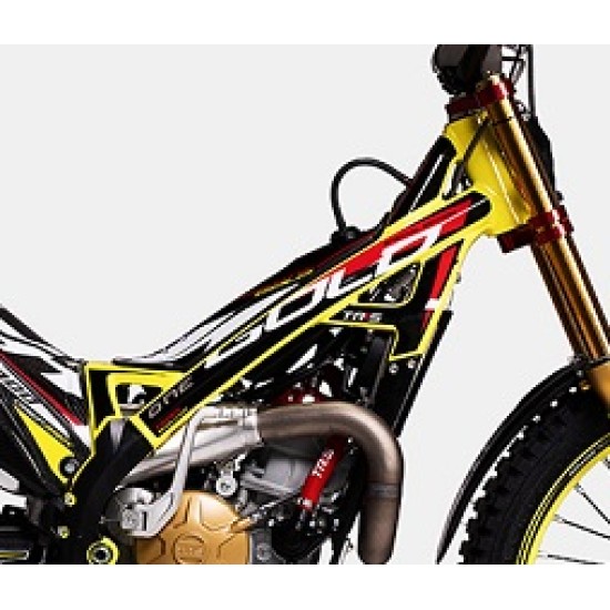 Adesivi Telaio TRS GOLD 2020