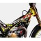 Adesivi Telaio TRS GOLD 2020