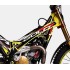 Adesivi Telaio TRS GOLD 2020