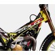 Adesivi Telaio TRS GOLD 2020