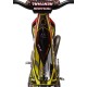 Adesivi Serbatoio TRS GOLD 2020