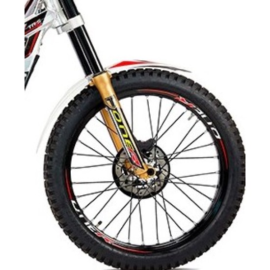Adesivo Forcella Destra TRS ONE 2020