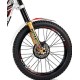 Adesivo Forcella Destra TRS ONE 2020