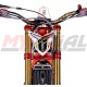 Adesivo Mascherina TRS ONE RR 2021
