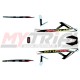 Adesivi Telaio e Forcellone TRS ONE RR 2021