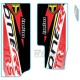 Kit Adesivi Completo TRS RR 2023