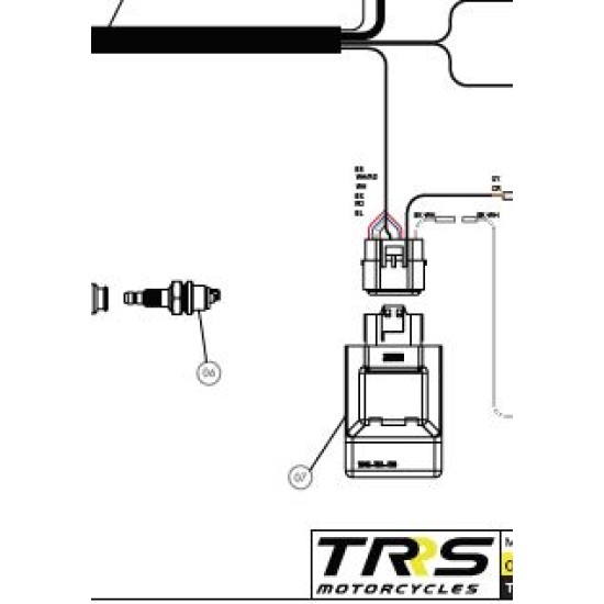 Centralina TRS