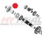 Clip Pignone TRS