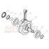 Cuscinetto Albero Motore TRS 16-22