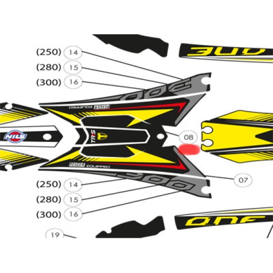 Adesivo Coperchio Cassa Filtro TRS RR 2017