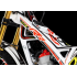 Adesivi Telaio TRS RR 2019