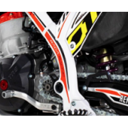 Adesivi Telaio TRS RR 2019 (Altezza Stivali)