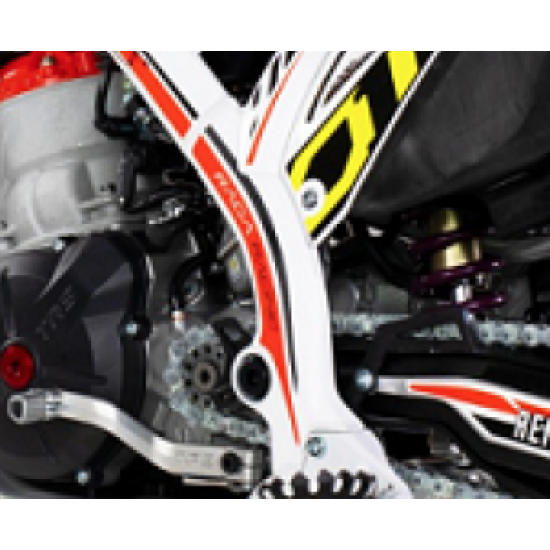 Adesivi Telaio TRS RR 2019 (Altezza Stivali)
