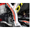 Adesivi Telaio TRS RR 2019 (Altezza Stivali)