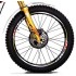 Adesivo Forcella Destra TRS RR 2019