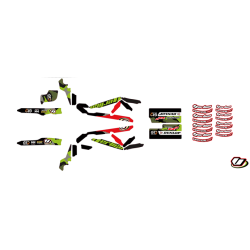 Kit Adesivi Telaio VERTIGO R2 2020