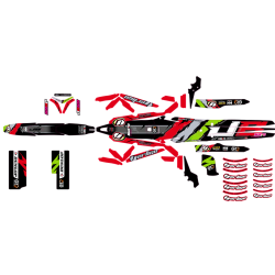 Kit Adesivi Completi VERTIGO BUSTO TITANIUM 2021