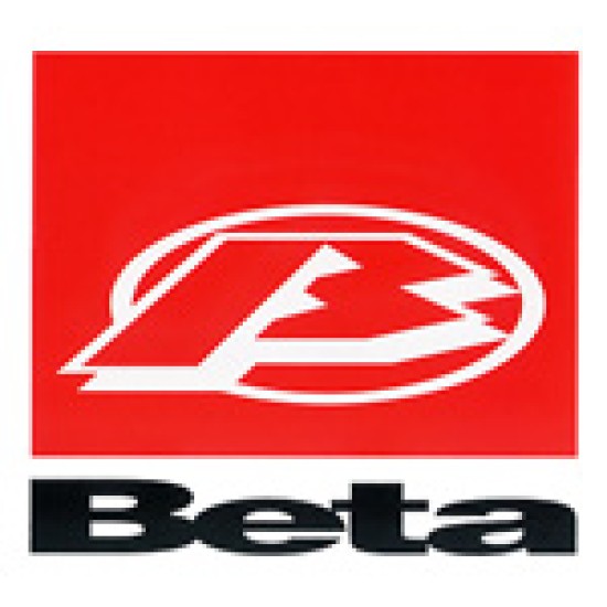 Pistone Beta Evo 290 (C 77.995)